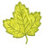 Leaf A1