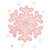 Snowflake B5