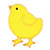 Chick 3