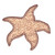 Starfish 1