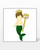 go! mermaid king & queen embroidery designs