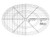 HQ Oval B Line Drawing