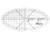 Oval line D