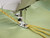 Three-hole yarn cording foot creating decorative stitches - Husqvarna Viking