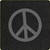 55593_foam-WEB