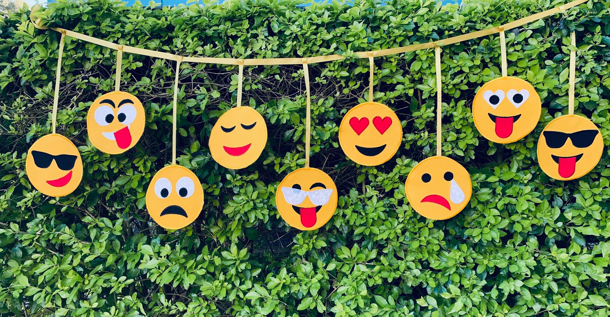 Emoji's Gone Wild! SINGER®