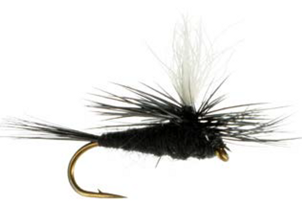 Black Gnat,Dry Fly,Black Gnat Trout Fly,Black Fly,Discount Trout Fly –