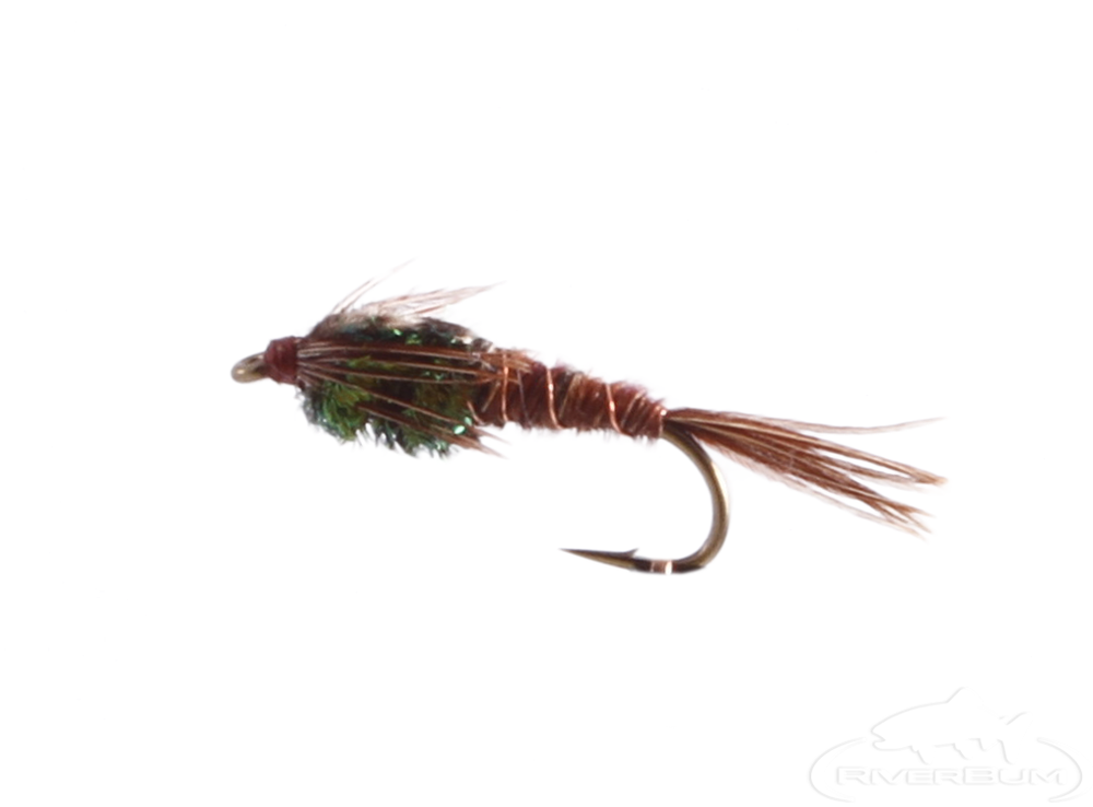 Pheasant Tail Nymph