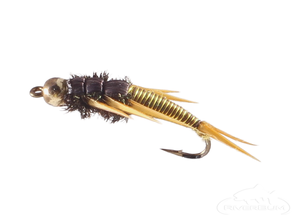 Gold Bead Head Rubber Leg Black Stonefly Nymph