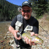 Trout Senses