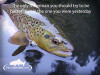 ​Intro to Fly Fishing: Casting with The Helicopter Cast