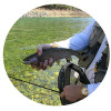 Need to Know: Dry Fly Leaders