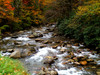 Autumn Fly Fishing & BWO's