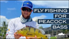 RiverBum TV - Fly Fishing for Peacock Bass