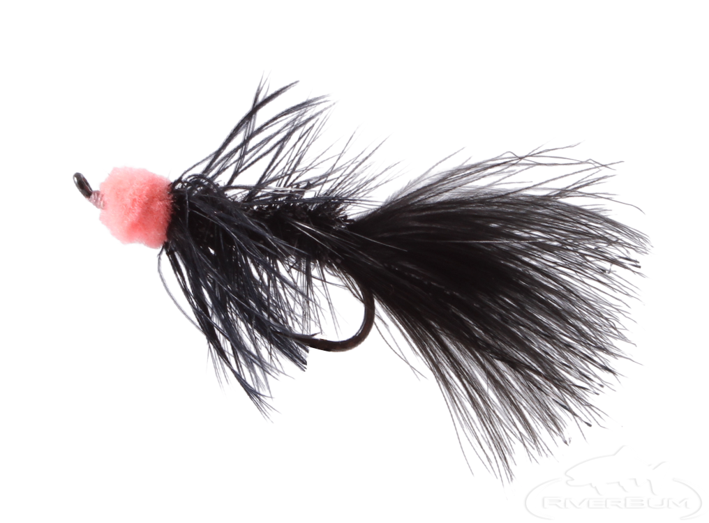 conventional reel for porgy fishing Types of Fishing Reels: Pros & Cons  J&H Tackle