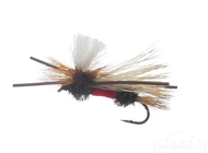 Stoneflies Stoneflies