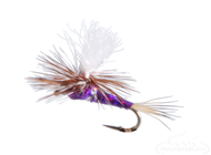 ​Dry Flies for the Non Hatch