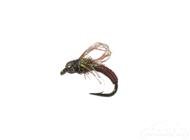​Fly Fishing Tips and Tricks: Insect Life Cycles