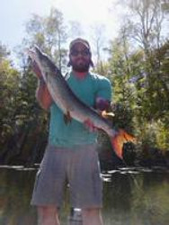 Musky On The Fly