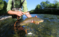 7 Reasons to Try Fly Fishing
