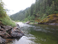 High Sticking.....Dry Flies