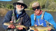 Best Flies For Spring (and Why): Midges, Mayflies, Eggs, and Worms