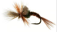 3 Best Trout Fishing Flies That Guarantee Success