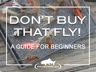 ​Don’t Buy that Fly! A Guide For Beginners