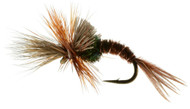 Emergers:  Mayflies