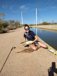 The Salt River Project:  Urban Carp Fishing