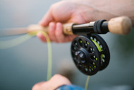 ​Get ‘Em on the Reel