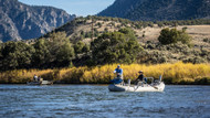 5 Tips to Catch More Fish This Fall: A Guide’s Perspective