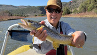 Why the Prince Nymph Is One of the Best Fly Fishing Patterns