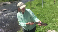 Fly Fishing using Barbless Hook flies with RiverBum Pro Cinda Howard