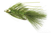 ​Fly In Focus: Skully Bugger