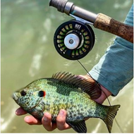 5 Important Things to Consider When Choosing A Fly-Fishing Reel