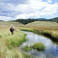 Getting Your Fly Fishing Fly Unsnagged Getting Your Fly Fishing Fly Unsnagged