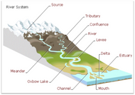 Where Trout Feed:  The Soft Water