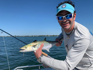 Spanish Mackerel