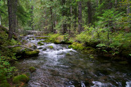 Common Spring Creek Mistakes