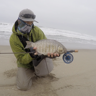 ​Surfperch, Fly Fishing the Surf
