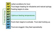 ​Trout Activity and Water Temperature
