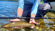 Can You Use A Tenkara Rod For A Float Trip?
