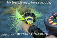 Don't Buy That Fly! Bass Edition