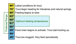 ​Trout Activity and Water Temperature