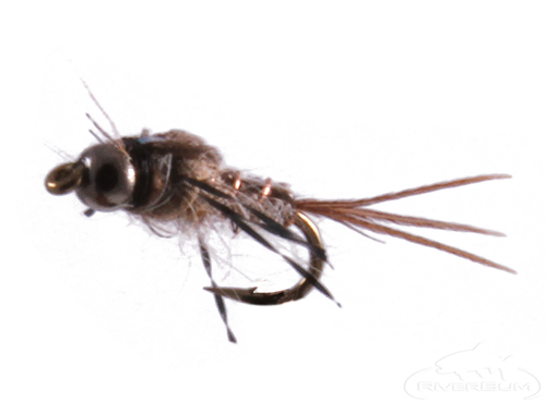 Anatomic Nymph, Hares Ear