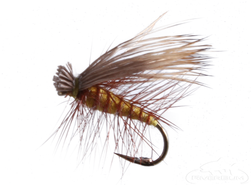 Dry Caddis Flies  RiverBum Fly Fishing