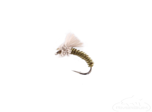 Serendipity, Olive 