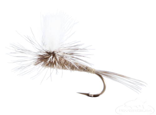 Callibaetis, Parachute