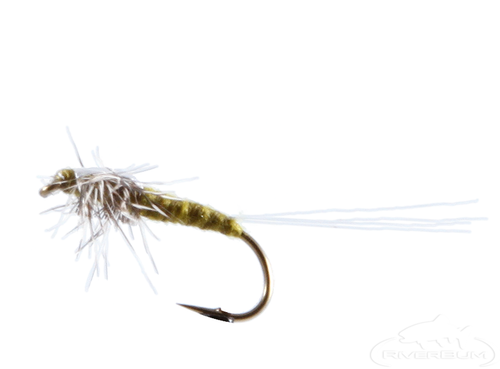 Green Drake, Spinner, Foam